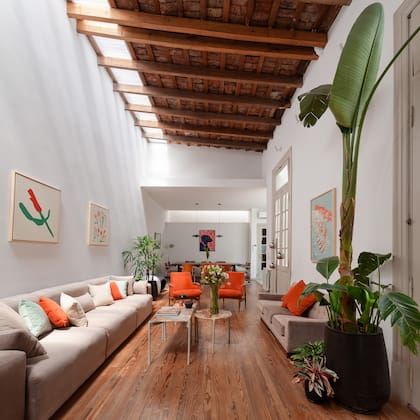 La strelizia se adaptó bien tras la mudanza gracias a las fuentes de luz natural del ambiente. Mesas bajas hechas con recortes de mármol y estructura a medida