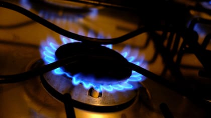 El Día Nacional del Gas celebra a los trabajadores de esta industria, que proveen del recurso a millones de hogares y empresas del país