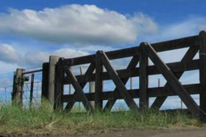 Los productores buscan sumar más gente para impulsar un amparo colectivo con mayor fuerza