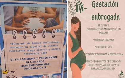 La subrogación de vientres muchas veces se sostiene captando a mujeres con necesidades económicas que aceptan ser gestantes a cambio de dinero