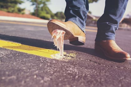 La suciedad de la calle queda adherida a la suela de los zapatos, incluyendo los gérmenes patógenos.