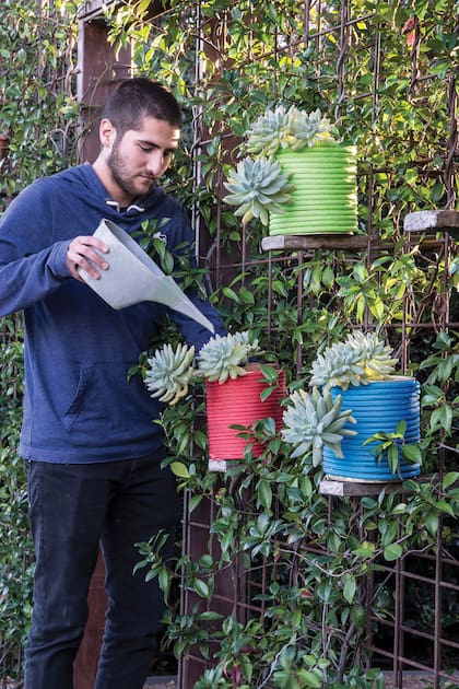 La suculentas tienen fama de resistentes pero, ¿es realmente así?