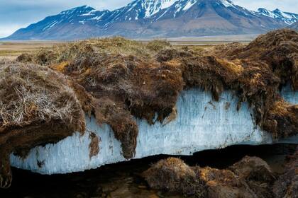“La superficie mundial con permafrost es hoy más importante que la ocupada por los glaciares”, sostiene Trombotto Liaudat