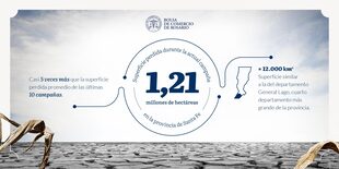 La superficie perdida durante la actual campaña en la provincia de Santa Fe
