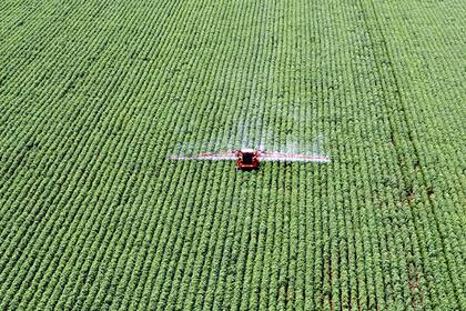 La superficie total implantada fue de 37,4 millones de hectáreas, apenas abajo de las 38,06 millones de hectáreas de 2002