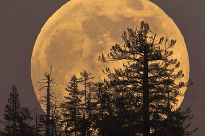 La superluna de este martes será la más cercana a la Tierra de las tres que ocurrirán en 2019