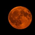 Llegó la superluna llena de diciembre: hasta cuándo se podrá ver desde Argentina