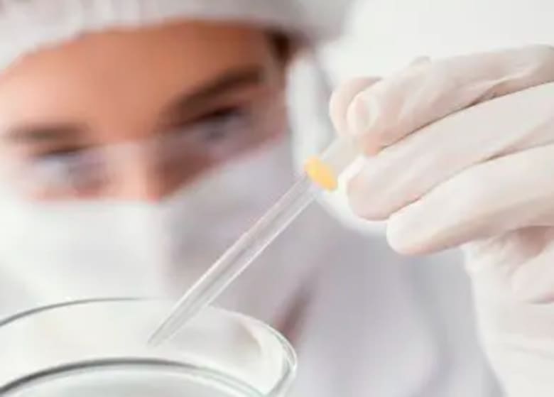 El negocio de los bioinsumos acelera en Argentina: crece más de 14% anual y ya factura US$150 millones
