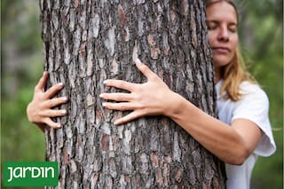Esta técnica japonesa combate la ansiedad y baja el estrés activando todos los sentidos en la naturaleza
