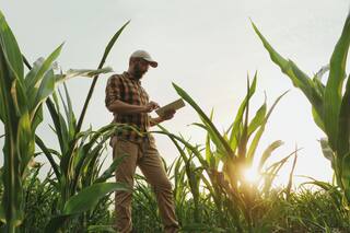 Cómo puede ayudar la tecnología a combatir la sequía