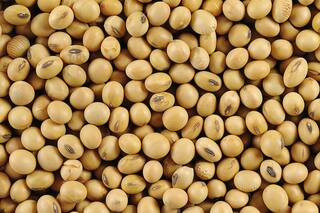 Más ideas sobre la ley de semillas