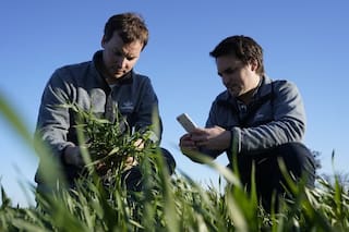 Cómo será posible alimentar a más de 8000 millones de personas