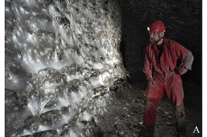 La telaraña colonial de la Cueva de Azufre alberga una colonia mixta de Tegenaria doméstica y Prinerigone vagans