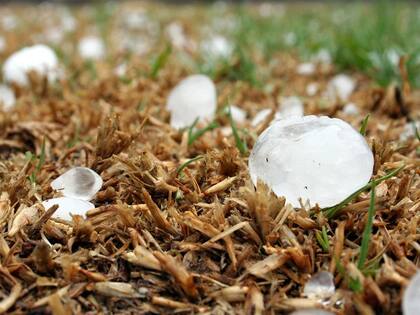 La temperatura y el nivel de humedad en el aire en el que se forma un granizo pueden influir en su densidad