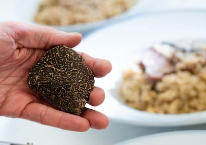 La temporada de trufas encuentra su homenaje en un menú por pasos