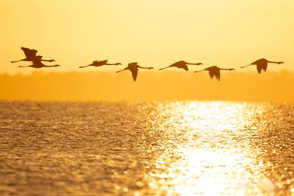 La temporada de verano superó todas las expectativas en la provincia de Córdoba