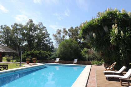 La tentadora pileta del nuevo hotel boutique.