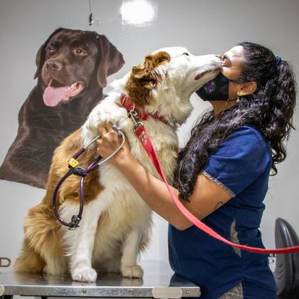 La terapia no invasiva preventiva es “el futuro, el camino que se va a seguir”, dicen los especialistas