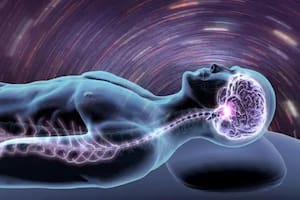 La terapia RTT apunta a recorrer la historia de la persona para descubrir, comprender y sanar eso que generó un patrón de pensamiento o conducta dañino, disfrazado de un mecanismo de defensa o de supervivencia