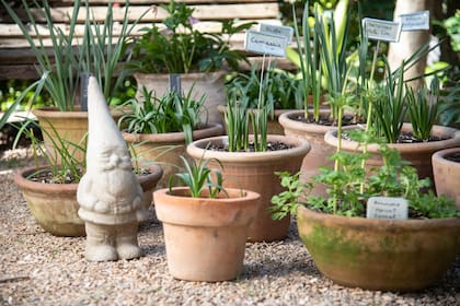 La terracota permite que se evapore el exceso de humedad