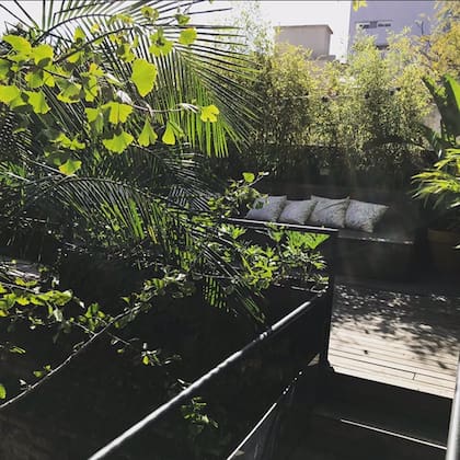 La terraza de la librería es casi tropical. Ideal para distenderse con una copa de vino, un café, unas nueces y la compañía de un buen libro.