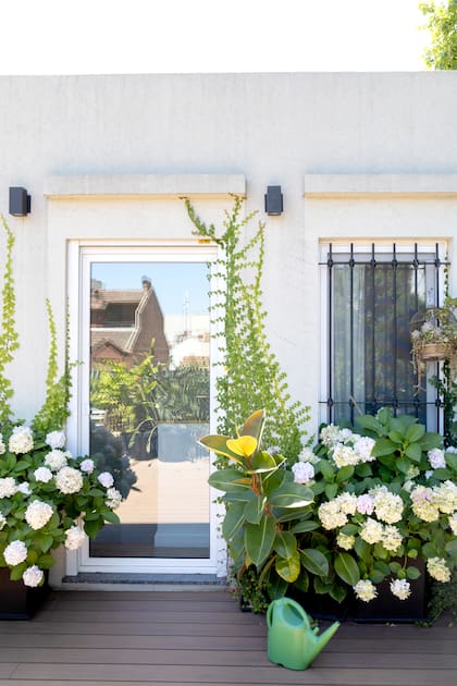 La terraza es espacio de sociabilización, sol y naturaleza