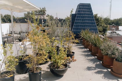 La terraza se recuperó como espacio común.
