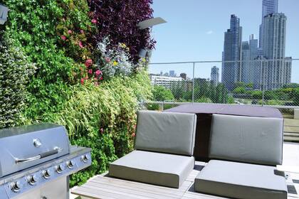 La terraza se vistió con un jardín vertical que ocupa poco lugar: entre 20 y 25 centímetros.