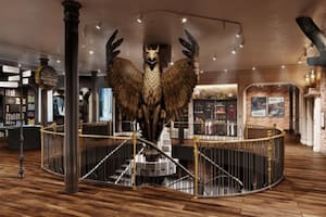 Cómo será la impresionante tienda de Harry Potter que se abrirá en Nueva York