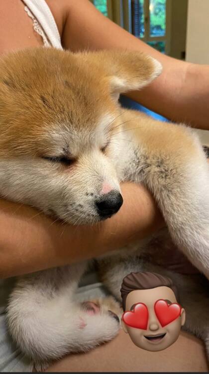 La tierna cachorra de Oriana y Dybala, Kaia