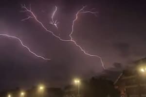 La tormenta dejó gran cantidad de árboles caídos en CABA y en la provincia de Buenos Aires