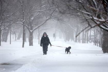 La tormenta del fin de semana dejó acumulaciones significativas en las principales terminales aéreas, con el Aeropuerto O’Hare registrando 8,7 pulgadas (22,1 cm) y el Aeropuerto Midway sumando 7,2 pulgadas (18,2 cm)