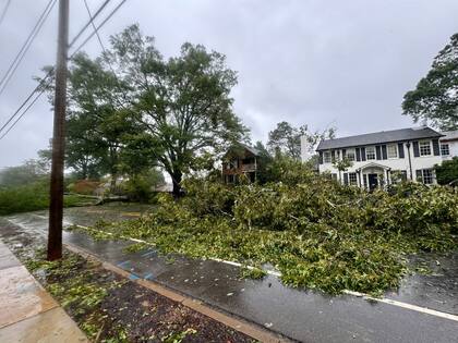 La tormenta tropical provocó severos destrozos en el tendido eléctrico de estos estados