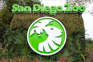 Muere la “Reina del Zoológico” de San Diego, la residente más antigua y querida