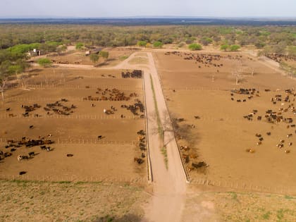 La totalidad de las instalaciones de engorde se utiliza con hacienda propia o comprada, sin prestación de servicios de hotelería, y la producción se comercializa principalmente con matarifes de la zona y frigoríficos exportadores de la región pampeana