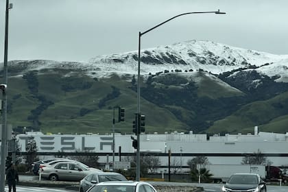 La tradición automotriz de México y su cercanía a Estados Unidos inclinó la elección para la radicación de Tesla