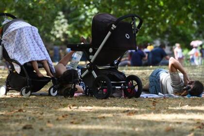 La tradicionalmente verde grama de los parques de Londres está amarilleando en muchos de ellos