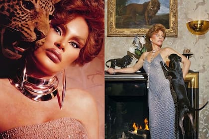 La transformación estética de la mediática fue inspirada en los linces