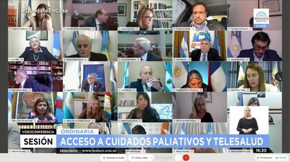 La transmisión de la sesión en la que Snopek votó desde su auto