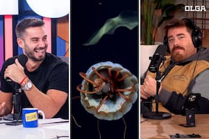 La transmisión en vivo del Conicet logró imponerse entre los dos gigantes del streaming nacional (Foto: Instagram @nicoochiatto, @miguegranados y captura Conicet)