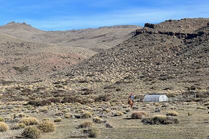 La travesía de Fabio cada vez que quiere intentar bajar los mensajes de texto para mantenerse conectado con el resto del mundo