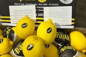 Llegó el primer cargamento de limones argentinos a Vietnam