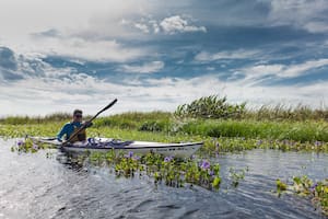 La nueva travesía que cruza los esteros en kayak