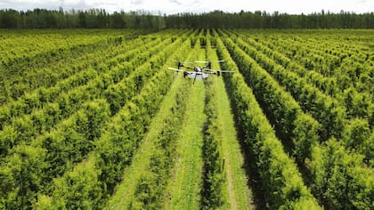 La trazabilidad, el carbono, la calidad y la transparencia son nuevas monedas de valor. Ser eficiente no es solo gastar menos, sino entender cómo cada decisión local impacta en el sistema global