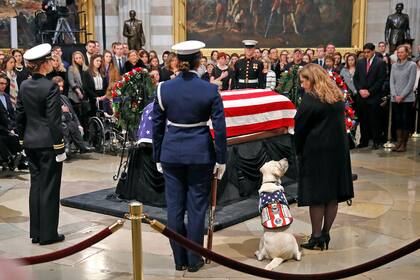 La tristeza de Sully, el perro de George Bush