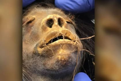 La tsantsa o cabeza reducida fue adquirida en Ecuador por el profesor estadounidense James Ostelle Harrison