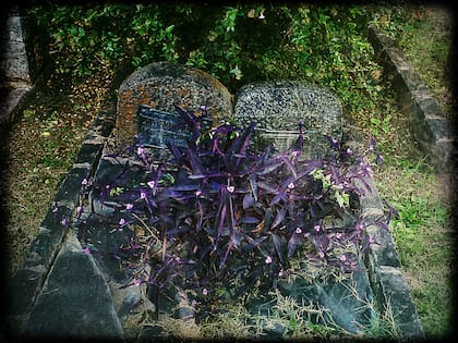 La tumba de Ludolf von Alvensleben, alto jerarca de las SS nazis, se encuentra en el cementerio municipal de Santa Rosa de Calamuchita, Córdoba, Argentina, junto a la de su esposa. Las placas fueron misteriosamente retiradas