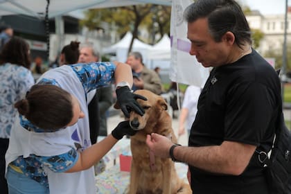 La UBA inicia su ciclo solidario en Chacarita con servicios gratuitos de salud y asesoría