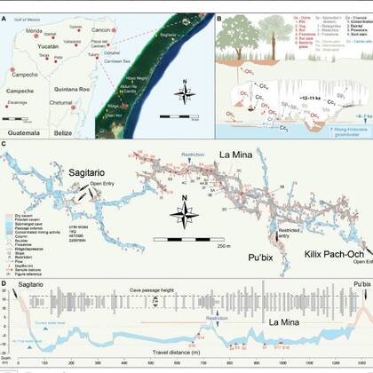 La ubicación y las características del sistema de minas encontrado en la península de Yucatán