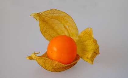La uchuva tiene un color un naranja intenso y un sabor entre ácido y dulce (Foto ilustrativa: PEXELS)